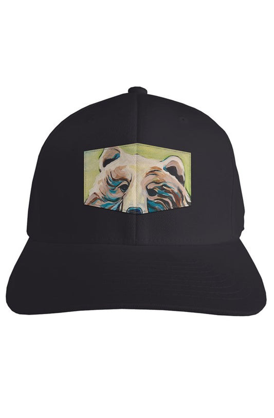 fitted handsome devil cap